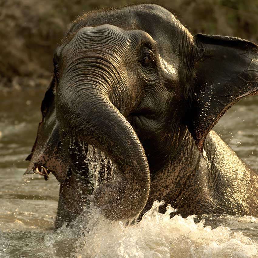 thailand8