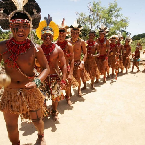 The Kayapo are one of the Amerindian native group living in the Amazonas