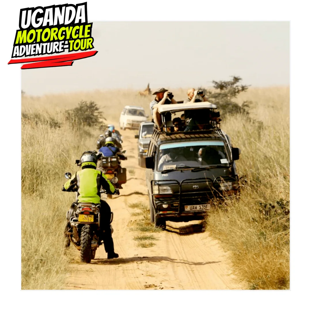 DAY 4 ITINE UGANDA