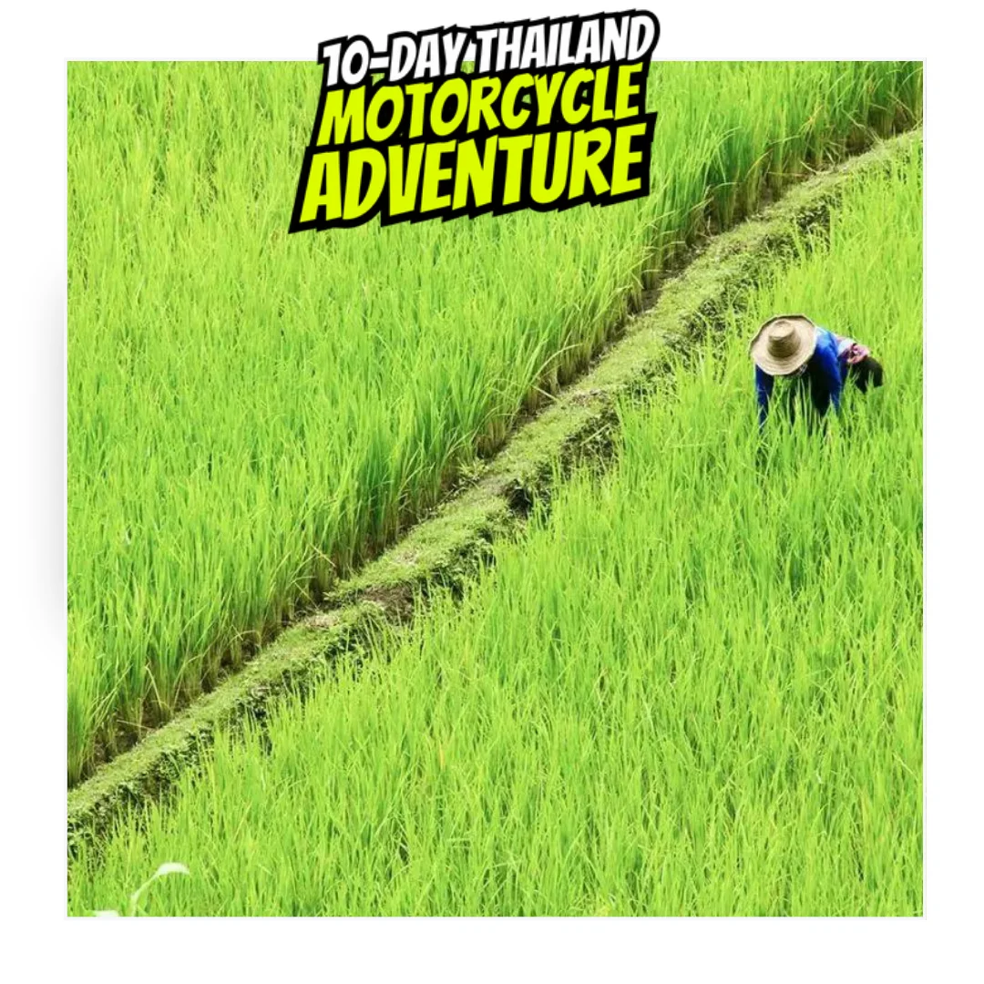 DAY 5 10 DAY THAILAND MOTORCYCLE TOUR