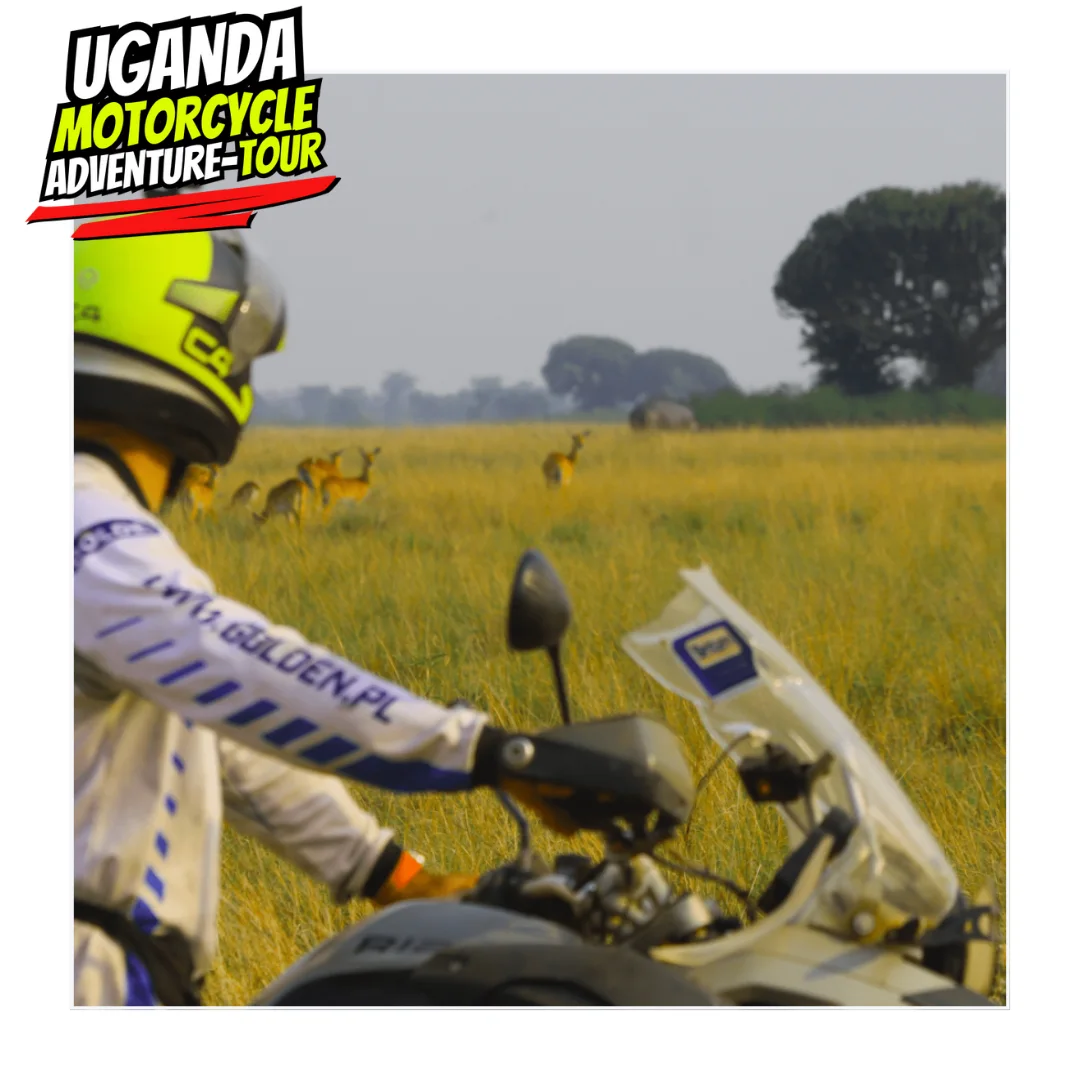 DAY 5 ITINE UGANDA