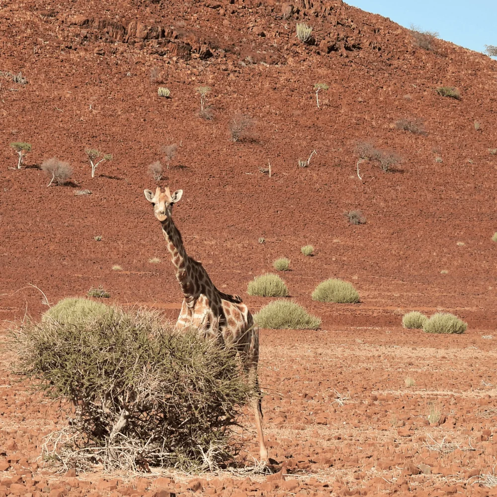 11 1