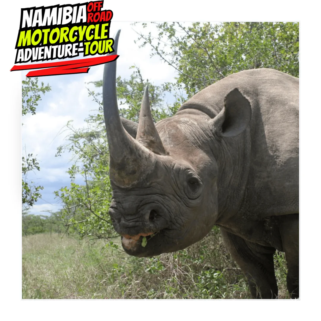 NAmibia8DaysOff Day 1 6