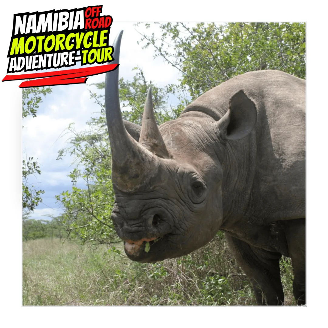 NamibiaOff 25 Day 6