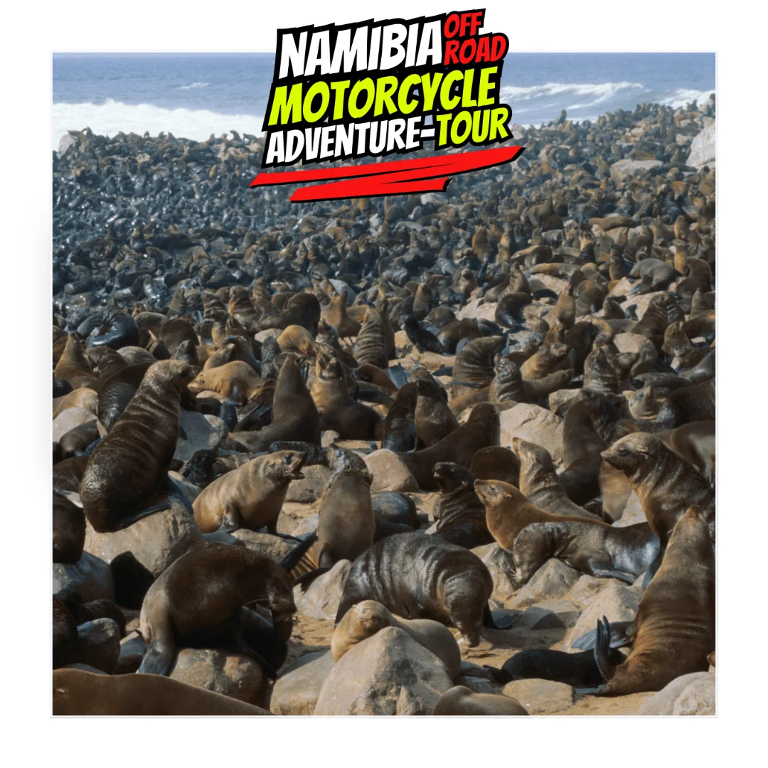 NamibiaOff 25 Day 8