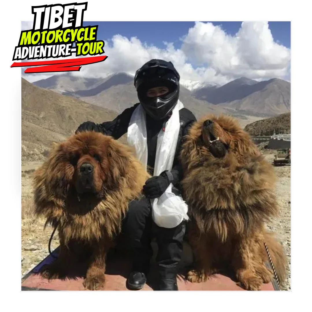 Tibet25 Day 10