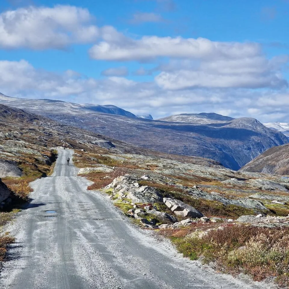 norway day 8