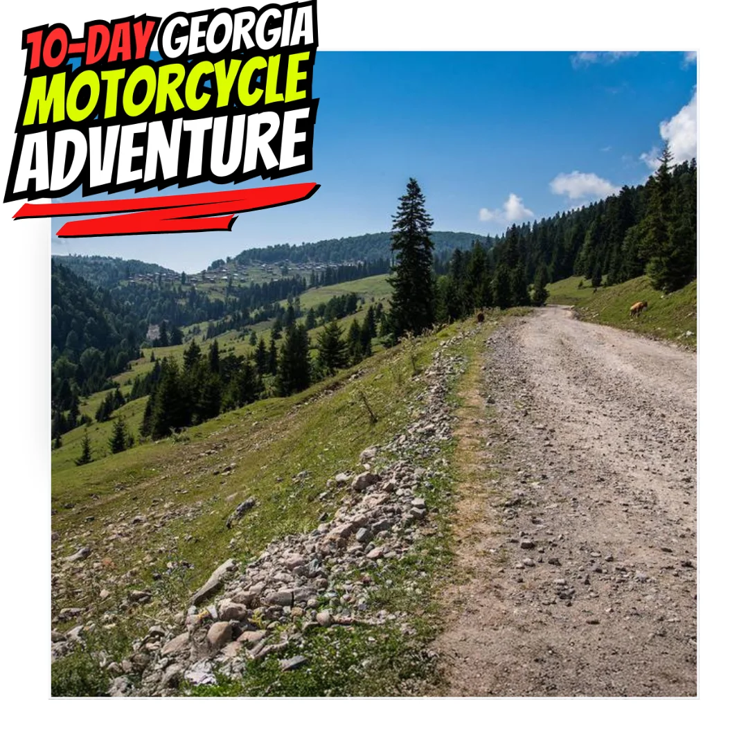 GEORGIA Day8