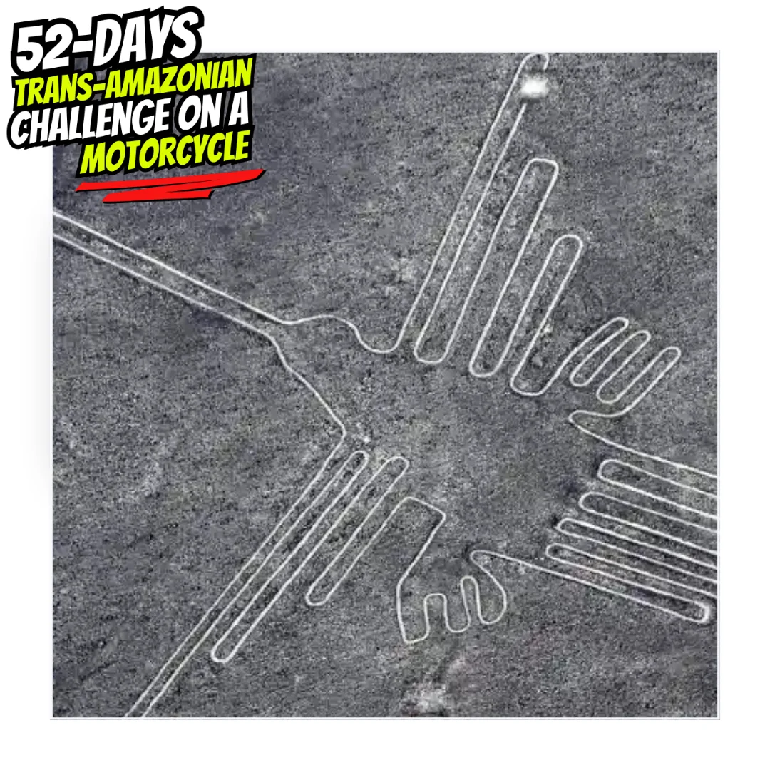 trans52 Day13