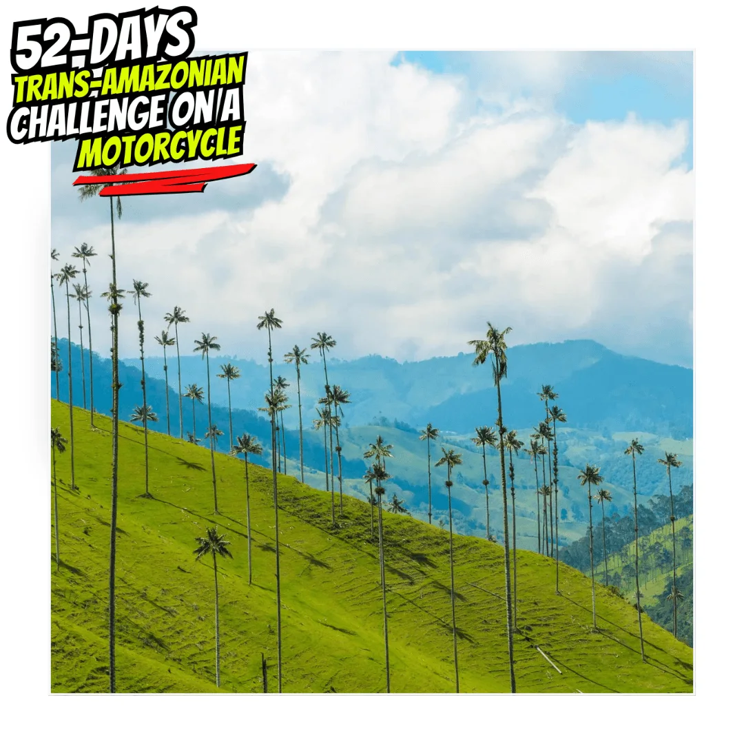 trans52 Day50