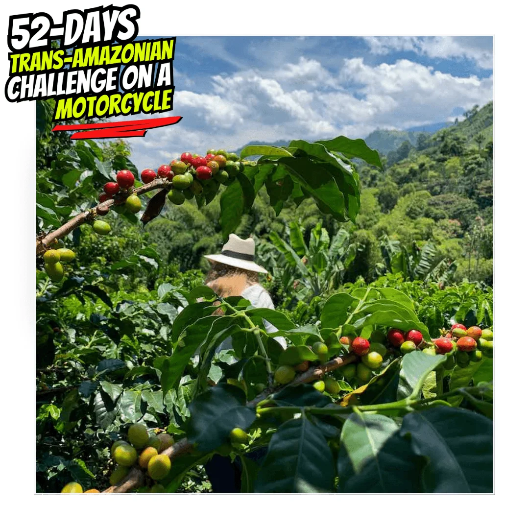 trans52 Day51