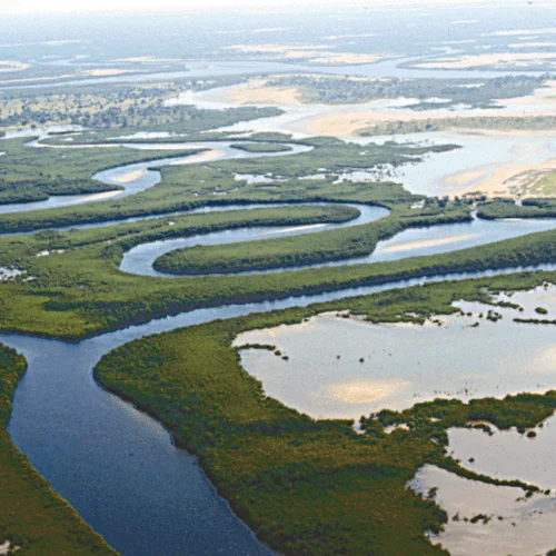 Saloum Delta Experience