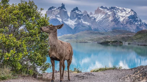 Torres Del Paine National Park