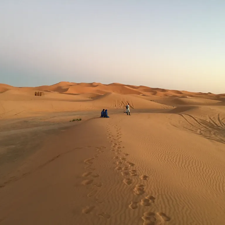 Sahara Crossing