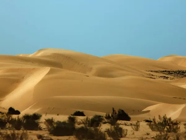 Sand dunes near Tan-Tan