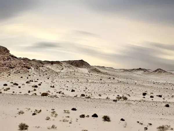 Desert landscape of the Dakhla peninsula, Western Sahara
