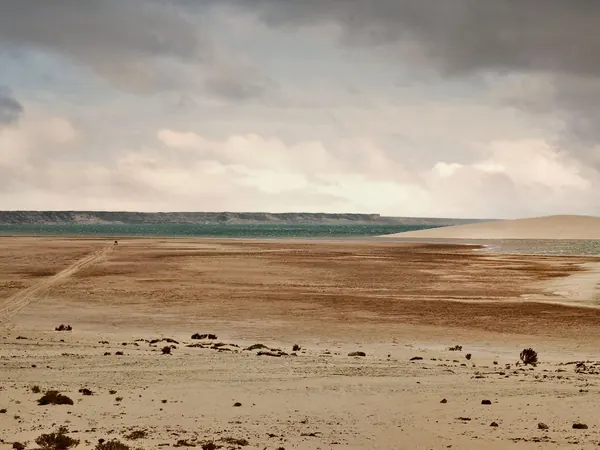 Dakhla, desert shore of the lagoon