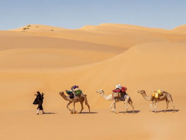 Camel caravan in the Mauritanian Sahara (Amatlich erg)