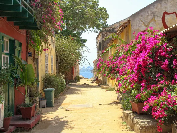 Gorée Island (Dakar), colorful lane