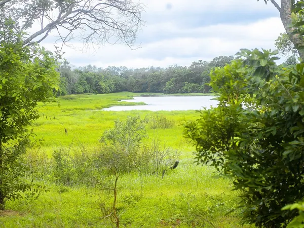 Niokolo-Koba National Park, the Senegal–Guinea border region on the way to Koundara