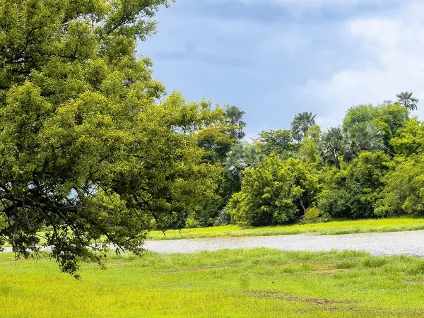 Gambia River valley in Niokolo-Koba, towards the Guinean frontier