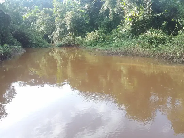 Bafing River at Mamou
