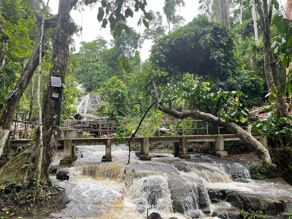 Man cascade and footbridge in the forest, Tonkpi region