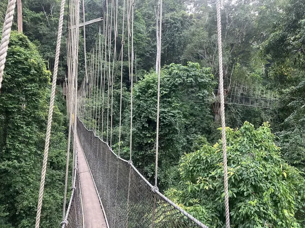Kakum National Park canopy walkway
