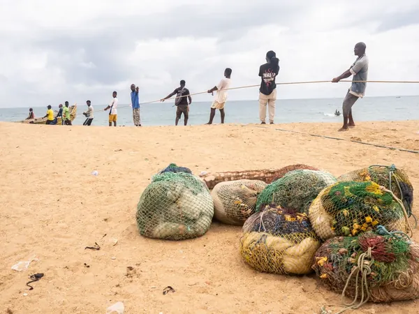 Fishermen hauling a beach seine on the Togo coast