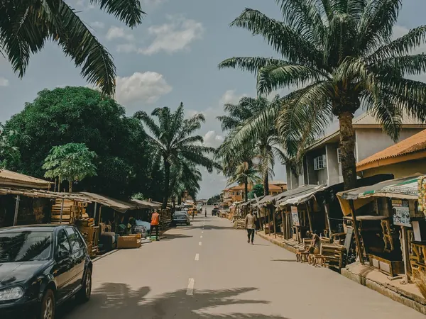 Palm-lined road in Enugu State, southeastern Nigeria