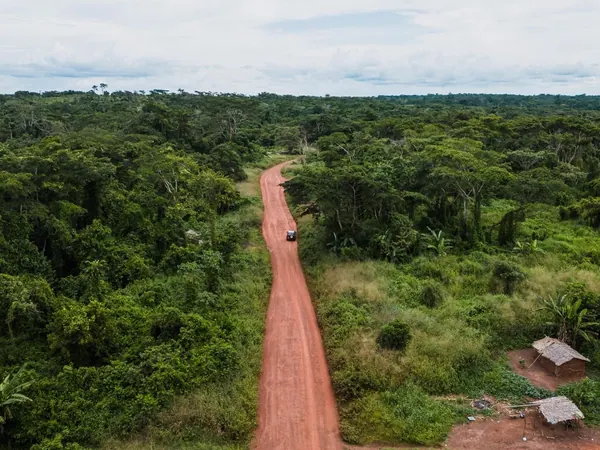 Red-earth road through the Central African forest