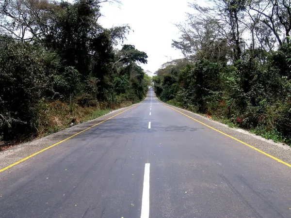 Paved highway through northern Angola's forest