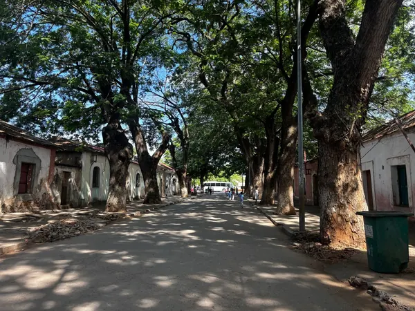 Lobito, tree-lined historic street