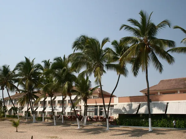 Palm-lined seafront of the Restinga, Lobito