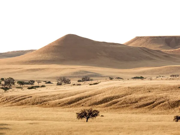Namib dunes and grassland near Solitaire, on the way to Sesriem