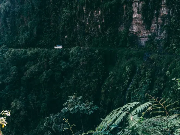 Cliff road through the Yungas (Death Road area)