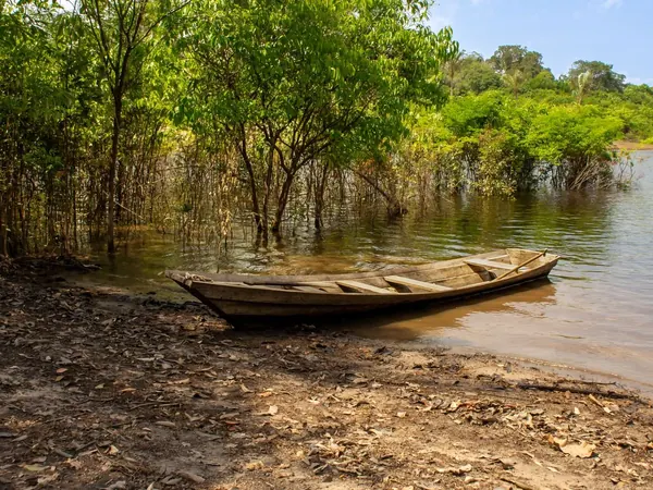 Canoe on a riverbank in the Brazilian Amazon rainforest