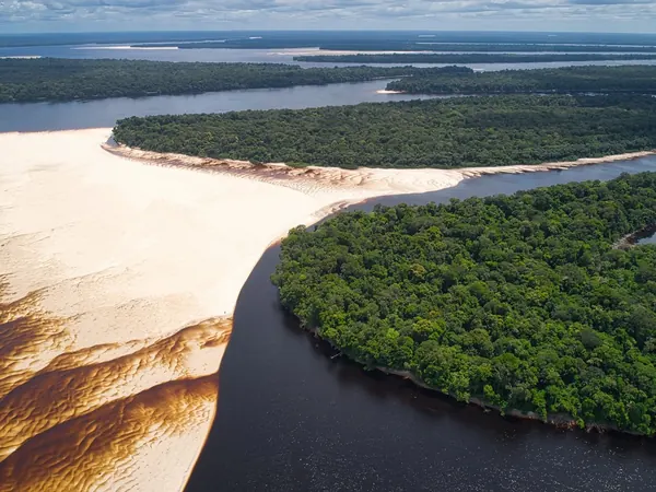 Aerial view of Amazon rainforest and river sandbanks, Amazonas state (no free photo of Matupi exists)