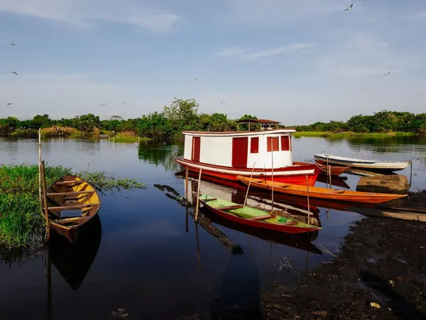 Riverside community boats in Amazonas state