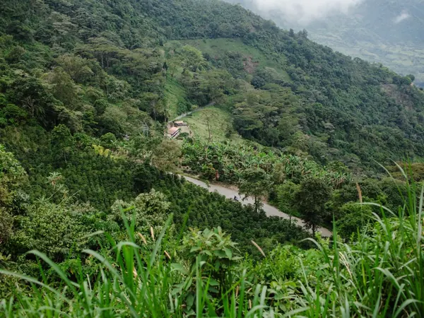 Mountain road through the coffee hills of southwest Antioquia (Jericรณ area), the region around Fredonia