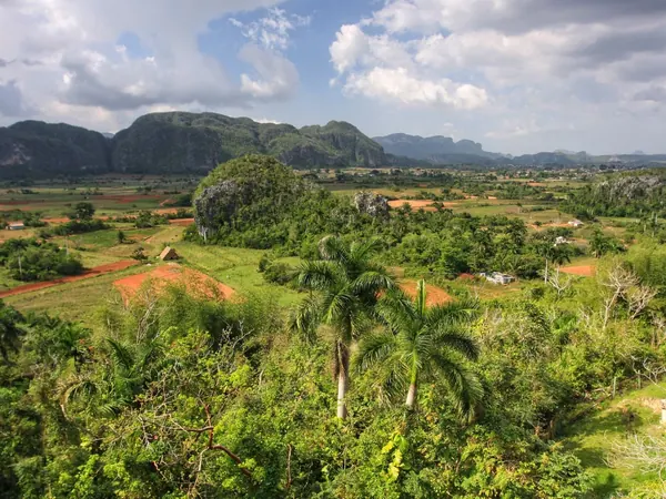 Viñales Valley, mogotes and tobacco fields