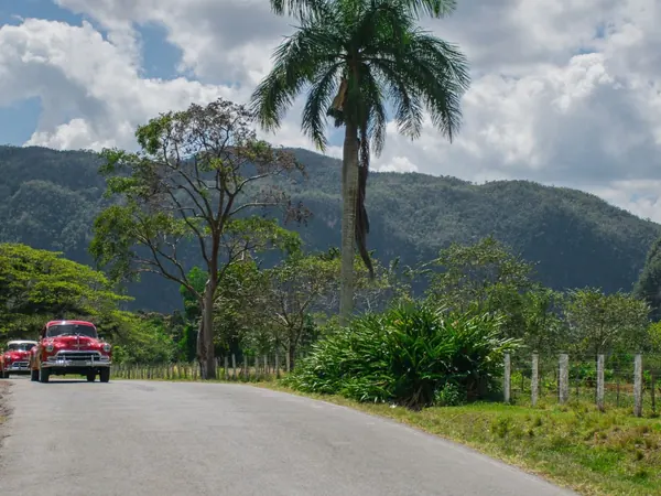 Country road through the Viñales Valley