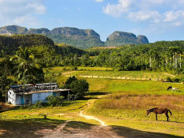 Pinar del Río countryside between Viñales and Las Terrazas