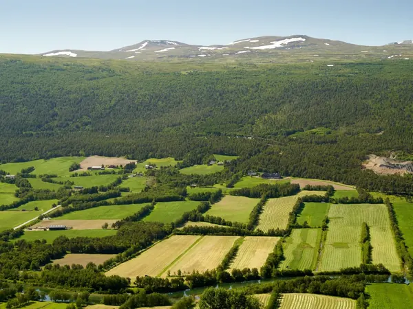Upper Gudbrandsdalen valley farmland at Lesja