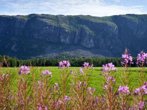 Alta, summer landscape below the mountains