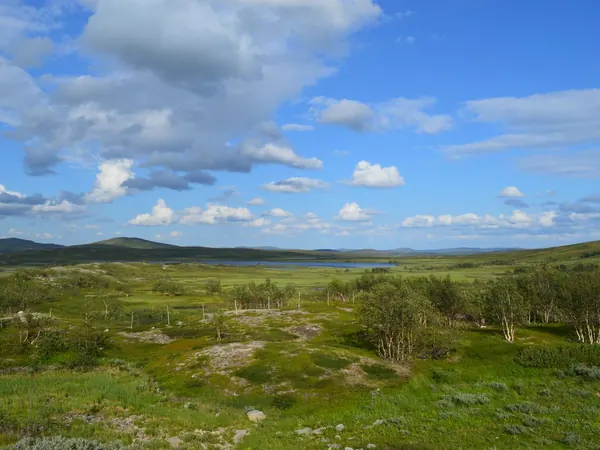 Finnmark plateau near Alta
