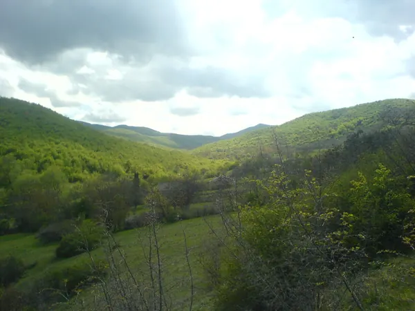 Gombori range, forested hills near Khirsa (Kakheti)