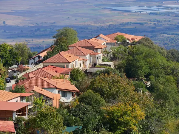 Kakheti, Sighnaghi rooftops over the Alazani Valley