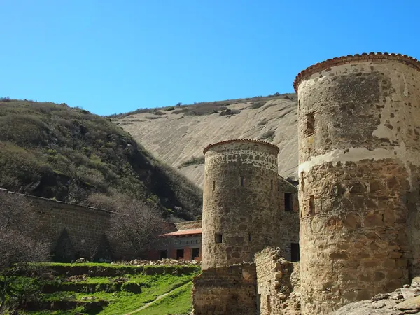 Davit Gareji, monastery towers and semi-desert hills