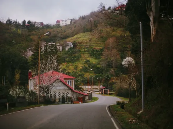 Winding mountain road in Adjara